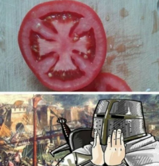 randompics1779_076
