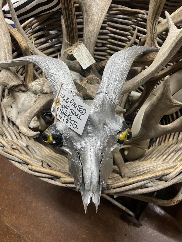 strangedesigns55_029