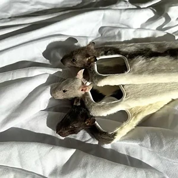 strangedesigns55_033