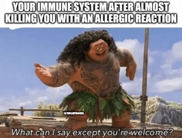 funnymemes371_003