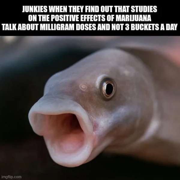 funnymemes371_006