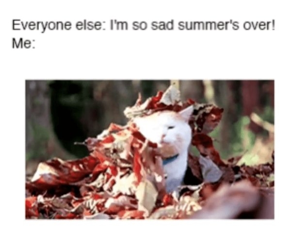 funnymemes371_011