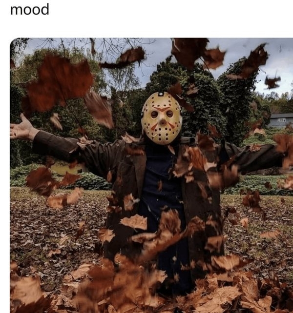 funnymemes371_016