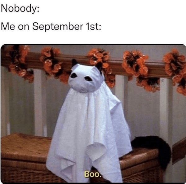 funnymemes371_019