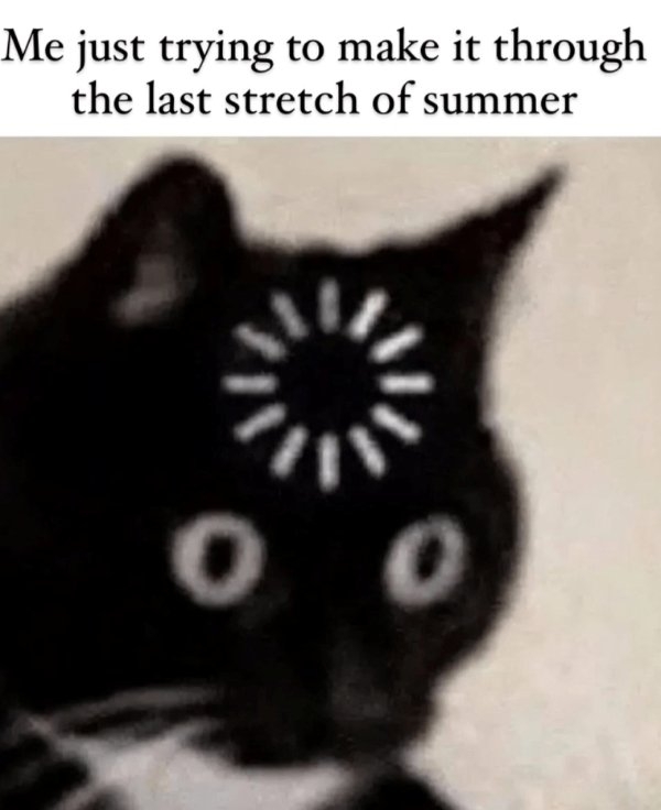 funnymemes371_021