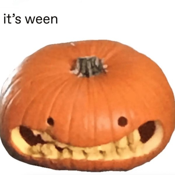 funnymemes371_023