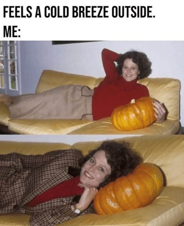 funnymemes371_030