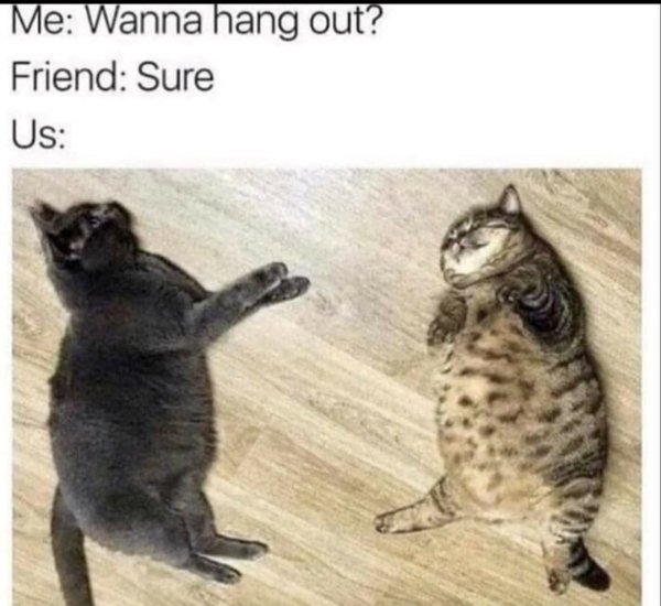 funnymemes371_037