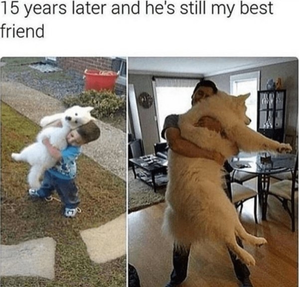 funnymemes371_038