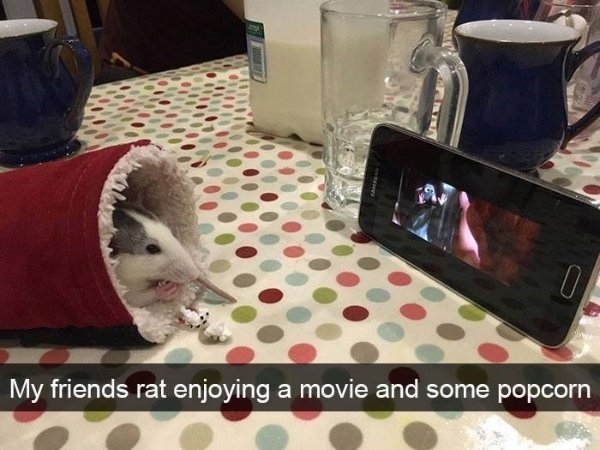 funnymemes371_040