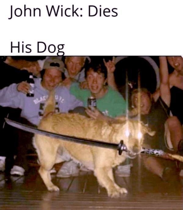 horrormoviememes11_044