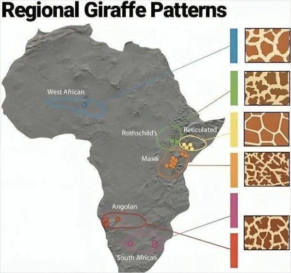 interestingdata53_014