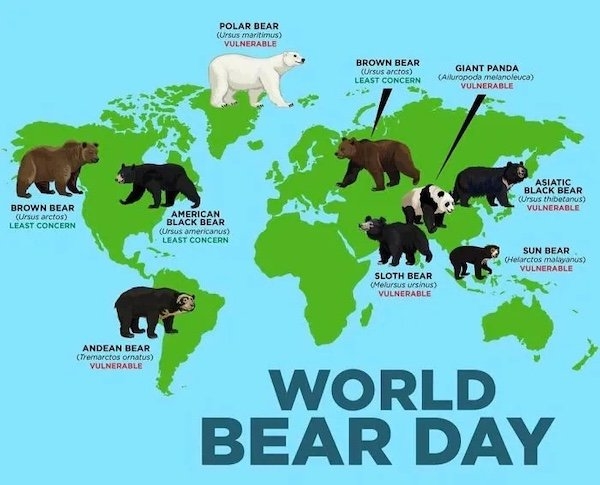 interestingdata53_020