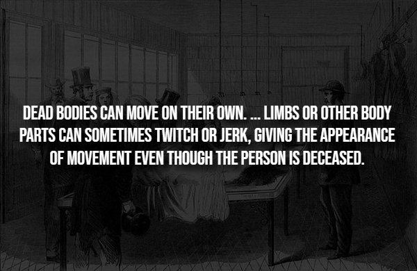 interestingfacts293_002