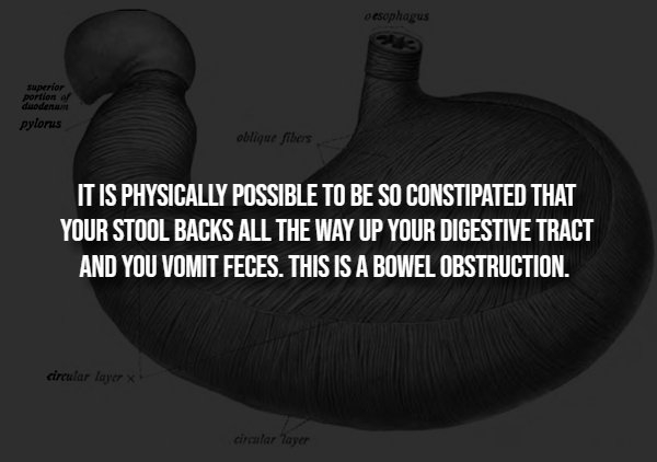 interestingfacts293_004