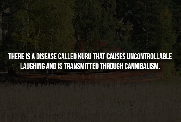 interestingfacts293_010