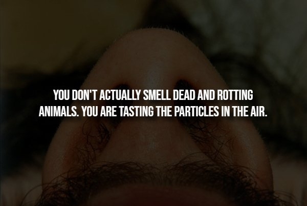 interestingfacts293_012