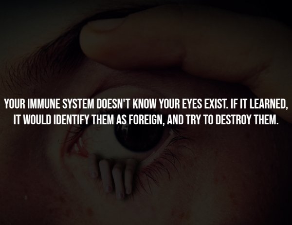 interestingfacts294_001