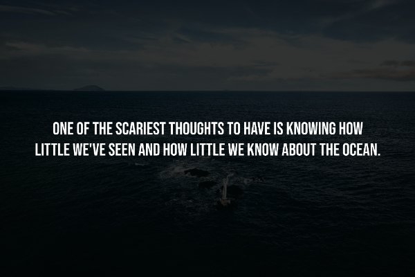 interestingfacts294_005