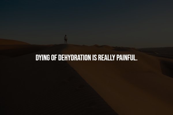 interestingfacts294_008