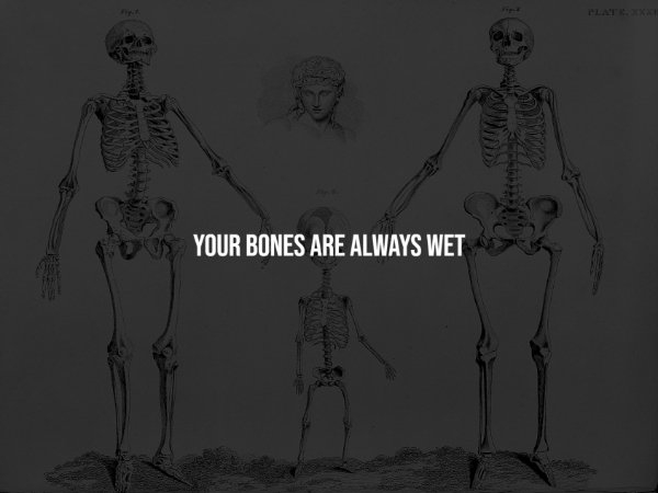 interestingfacts294_009