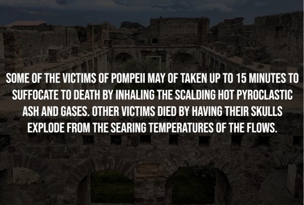 interestingfacts294_011