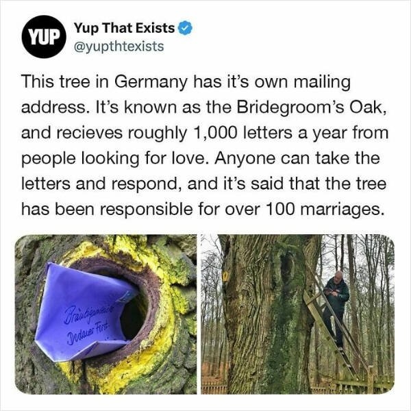 interestingfacts295_005