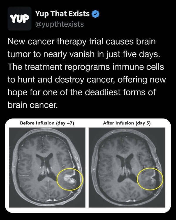 interestingfacts295_021