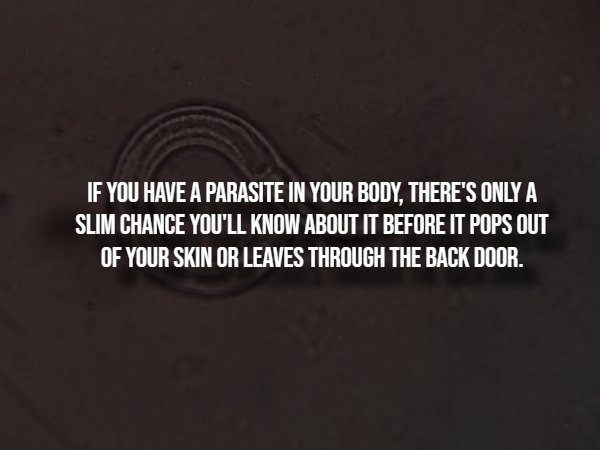 interestingfacts298_001