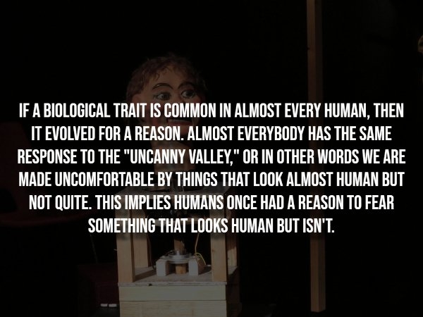 interestingfacts298_003