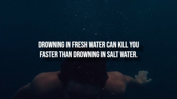 interestingfacts298_005