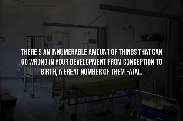 interestingfacts298_006