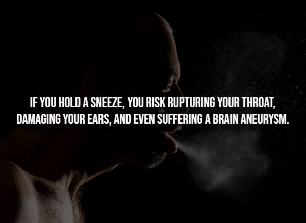 interestingfacts298_009