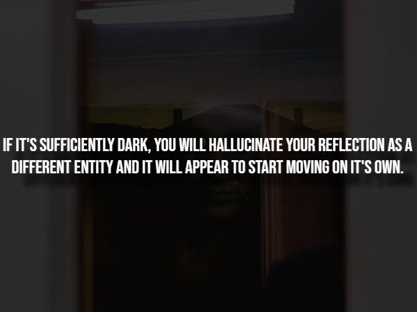 interestingfacts298_011