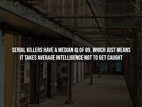 interestingfacts298_012