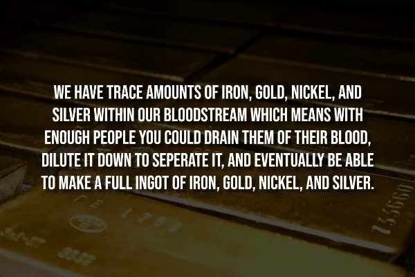 interestingfacts298_013