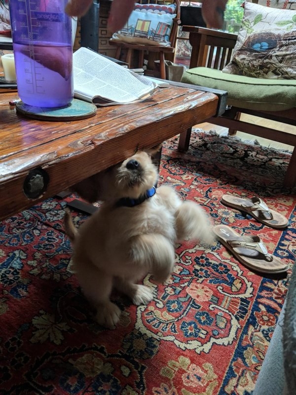 perfectphotos152_005