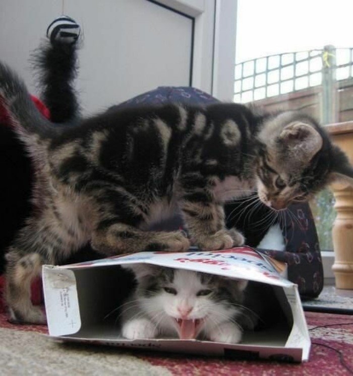 perfectphotos152_027