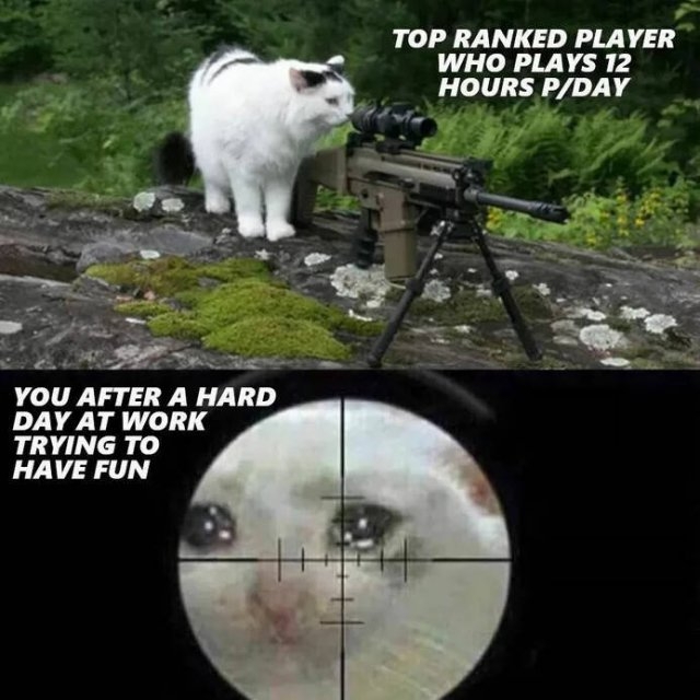 randompics1786_067