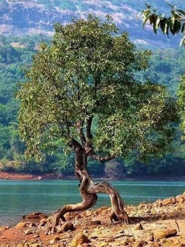 randompics1791_033