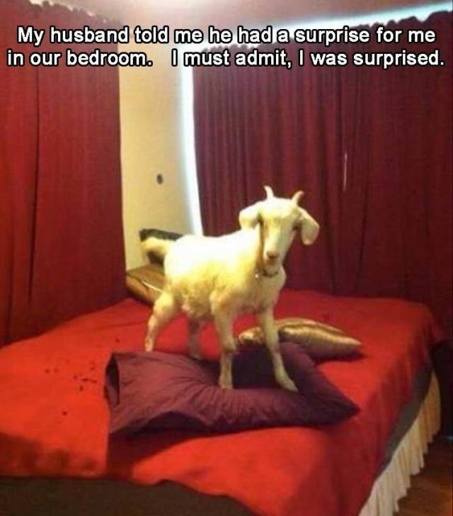 randompics1793_045