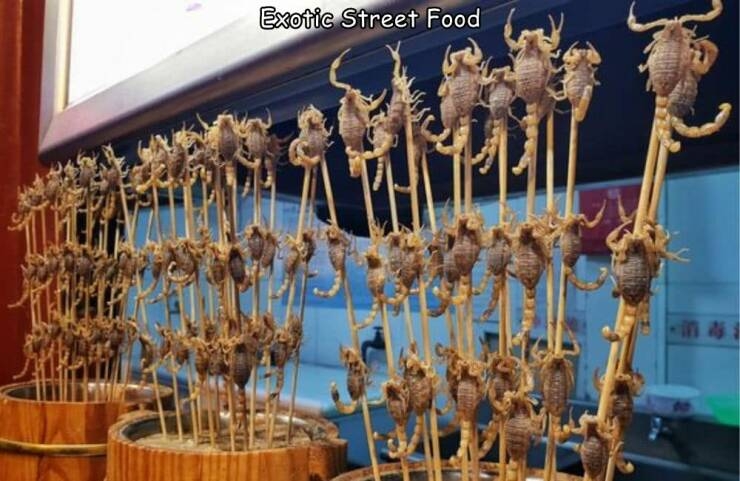 randompics1795_063