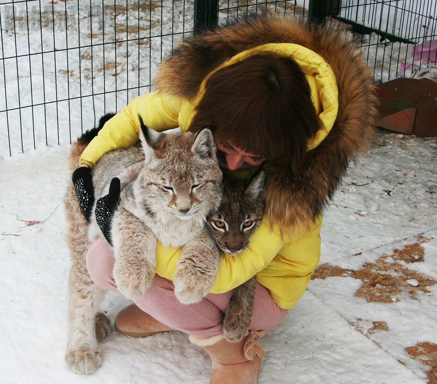 randompics1812_054