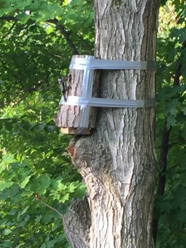 redneckengineering43_002