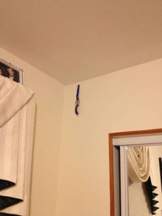 redneckengineering44_009