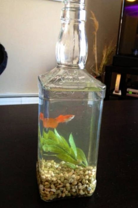 redneckengineering44_010