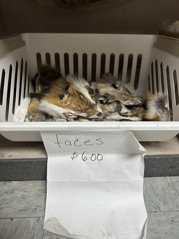 strangedesigns56_002