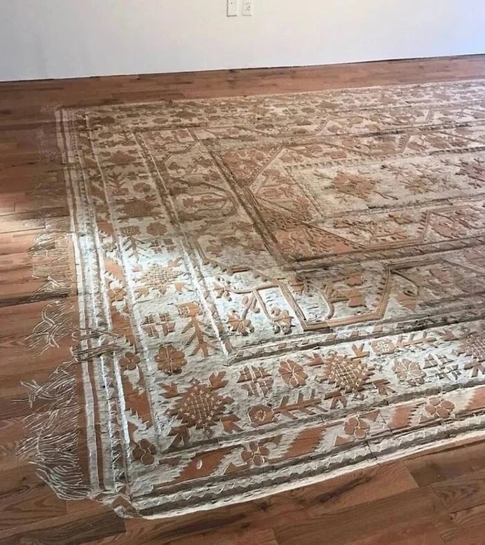 strangedesigns56_008