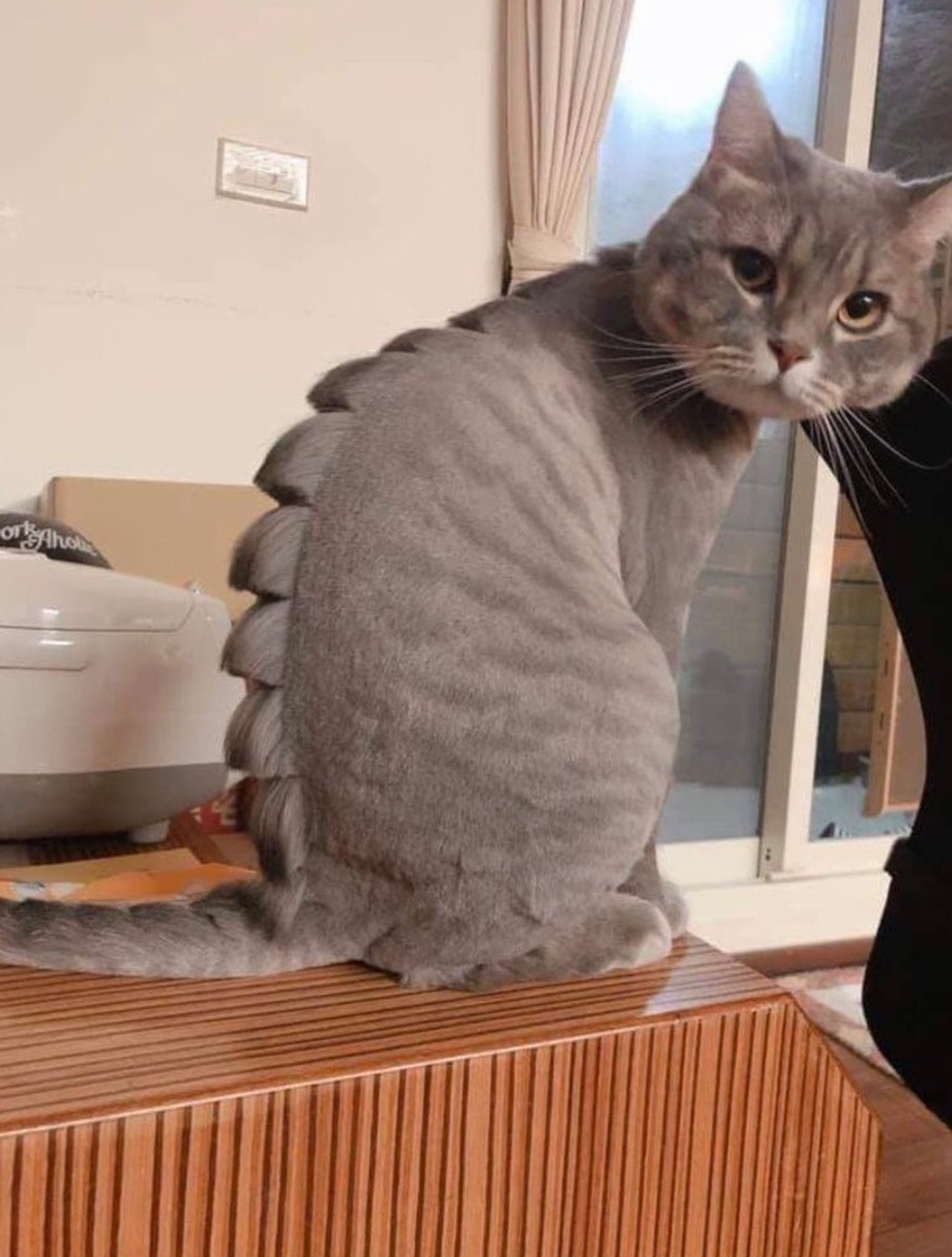 strangedesigns56_046