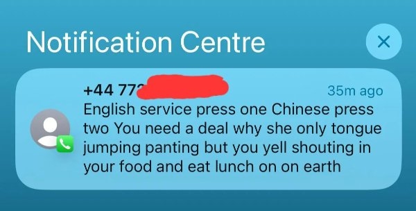 badtranslations15_017